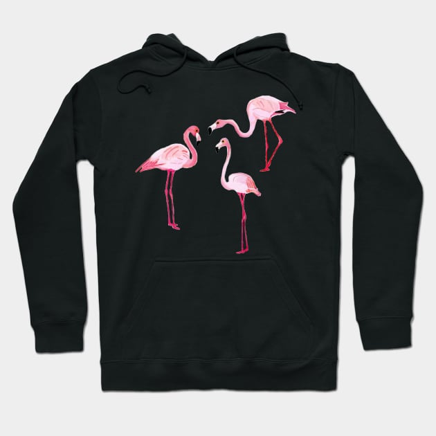 Pink Flamingos - 3 Watercolor Birds - Painted Wildlife Hoodie by VegShop